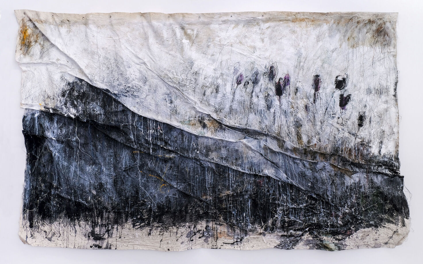 Black tulips (Schwarze Tulpen)