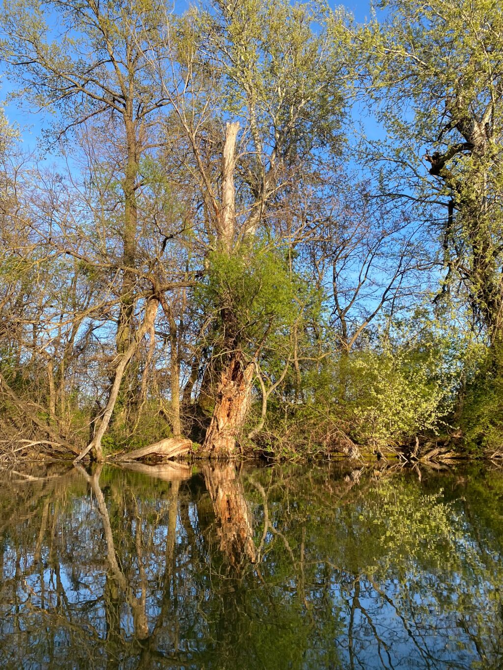 Maly Dunaj, Slowakia