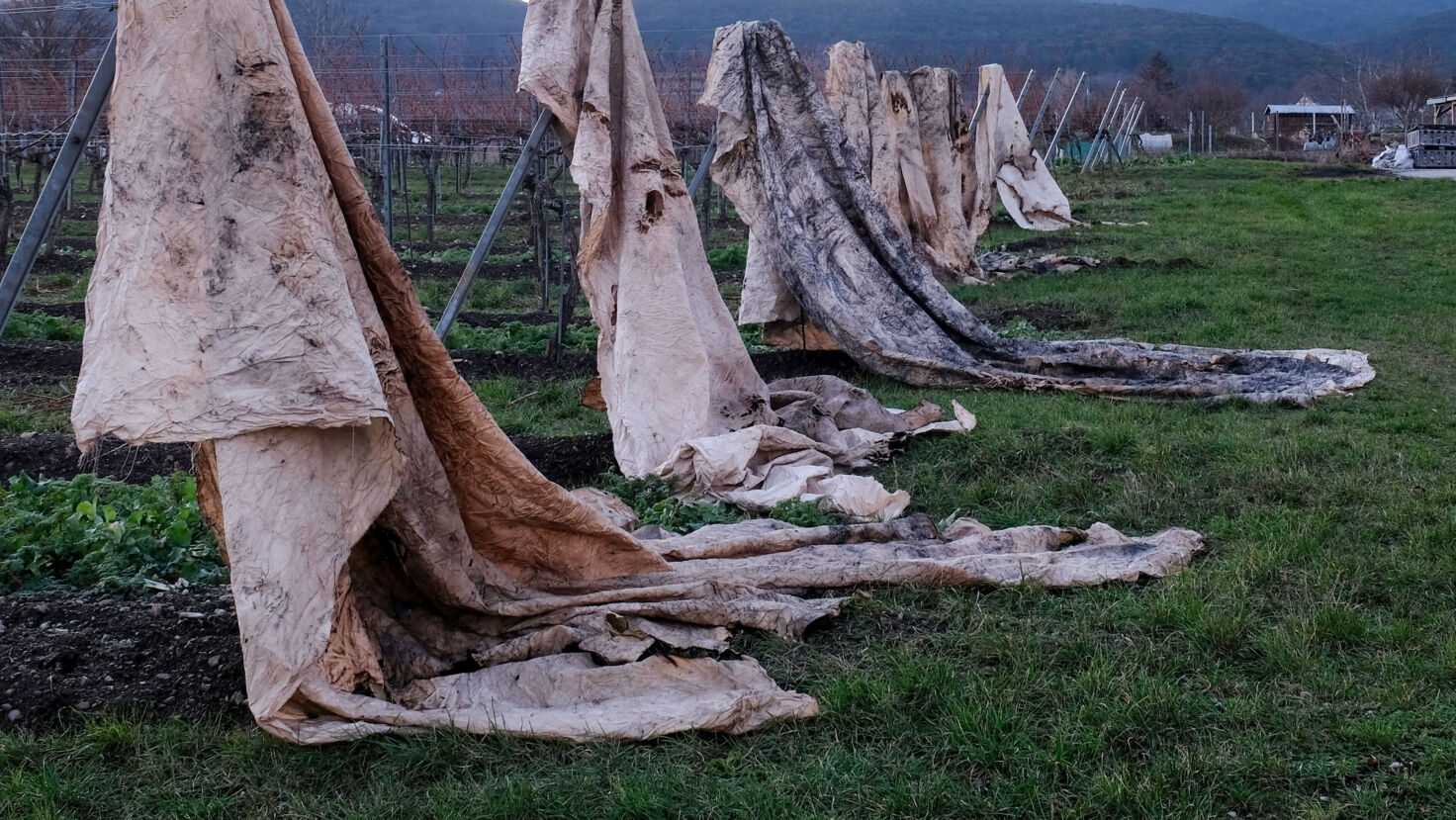 Trocknung der Tücher