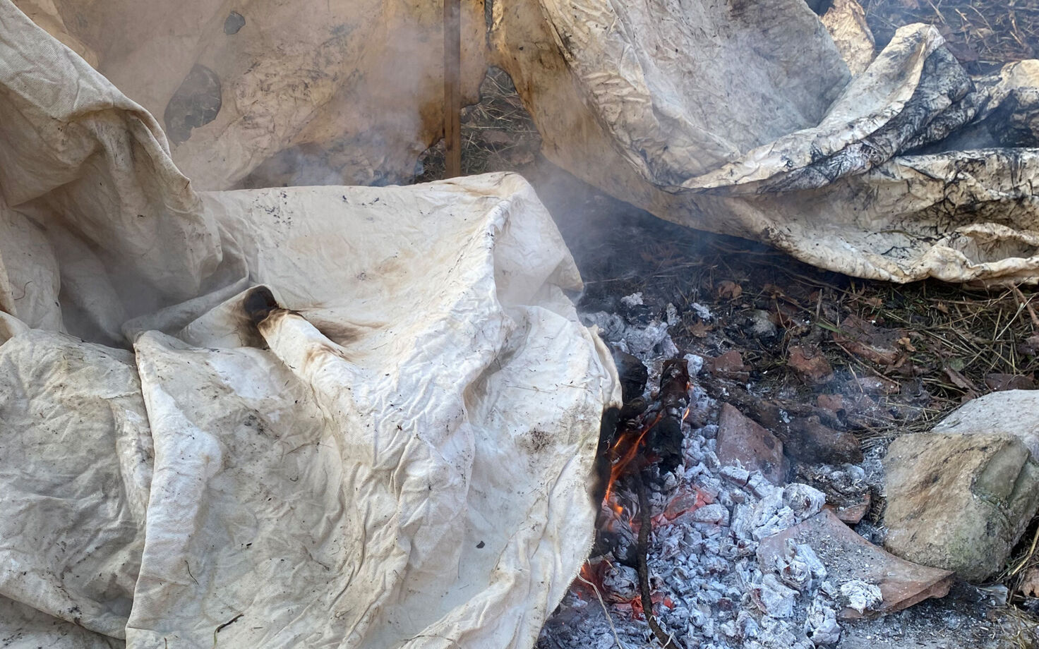 A Picture of Our Time